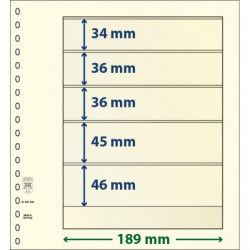 Feuille neutre Lindner-T à 5 bandes. (802 508)