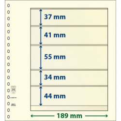 Feuille neutre Lindner-T à 5 bandes. (802 510)