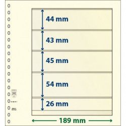 Feuille neutre Lindner-T à 5 bandes. (802 511)