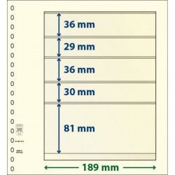Feuille neutre Lindner-T à 5 bandes. (802 513)