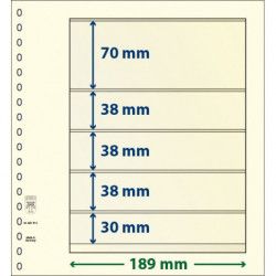 Feuille neutre Lindner-T à 5 bandes. (802 514)