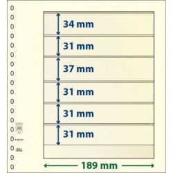 Feuille neutre Lindner-T à 6 bandes. (802 601)