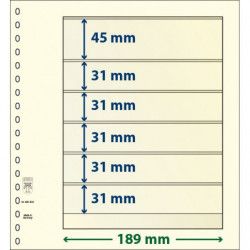 Feuille neutre Lindner-T à 6 bandes. (802 602)