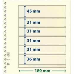 Feuille neutre Lindner-T à 6 bandes. (802 604)