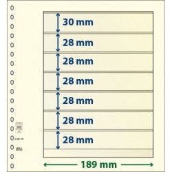 Feuille neutre Lindner-T à 7 bandes. (802 700)