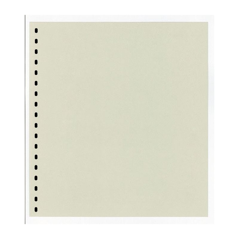 Feuilles neutres grises sans impression à 18 perforations Lindner. (802io)