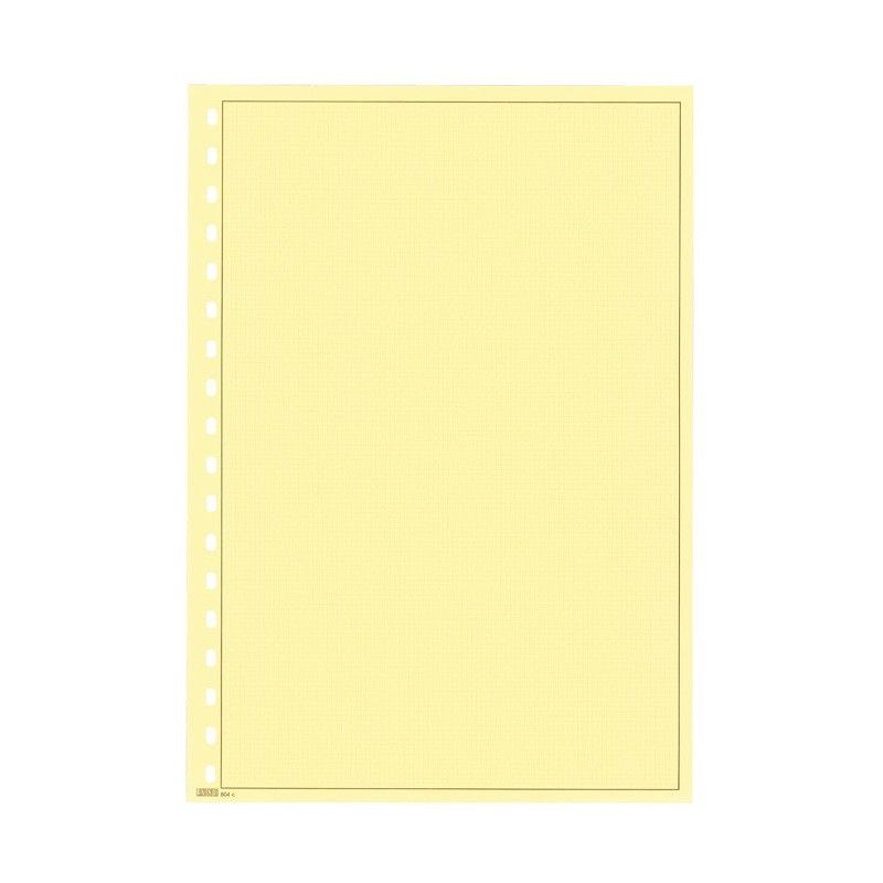 Feuilles neutres jaunes quadrillées format A4 à 18 perforations Lindner. (804c)