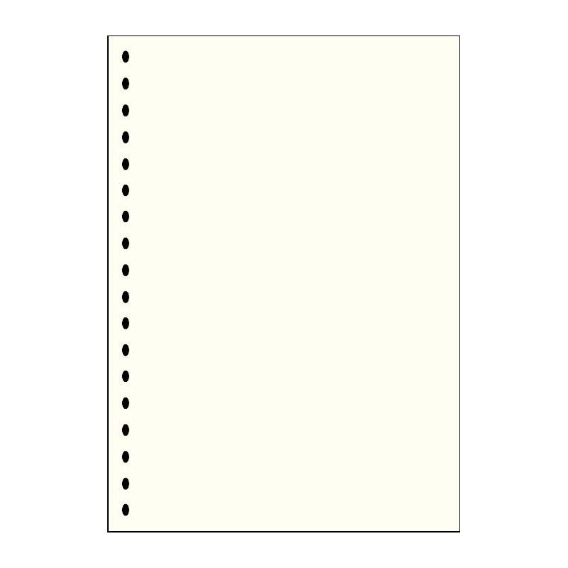 Feuilles neutres blanches sans impression format A4 à 18 perforations Lindner. (804o)