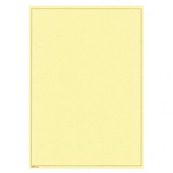 Feuilles neutres jaunes format A4 sans perforation Lindner. (805b)