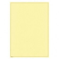 Feuilles neutres jaunes format A4 sans perforation Lindner. (805b)