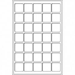Plateaux numismatiques Leuchtturm format L à 35 cases carrées.
