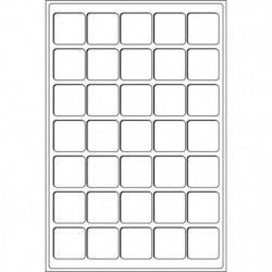 Plateaux numismatiques Leuchtturm format L à 35 cases carrées.