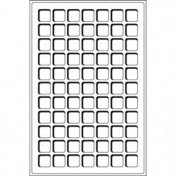 Plateaux numismatiques Leuchtturm format L à 77 cases carrées.