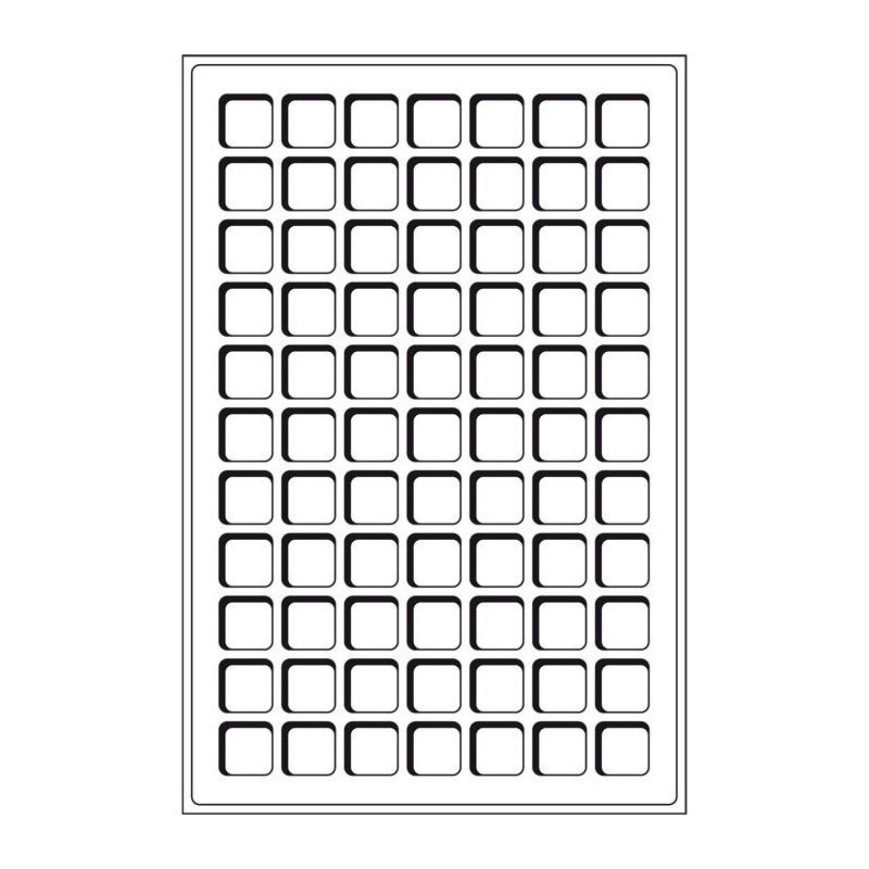 Plateaux numismatiques Leuchtturm format L à 77 cases carrées.