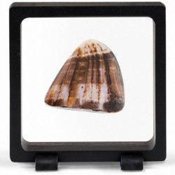 Cadre flottant Magic Frame 90 pour objet de collection.