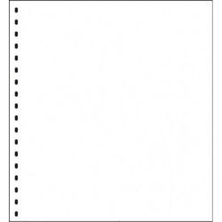 Gaines de protection à 18 trous pour feuilles neutres Lindner 272 x 296 mm.