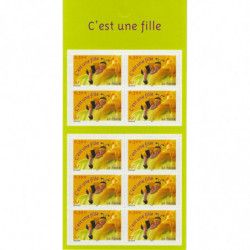 Carnet de 10 timbres naissances c'est une fille - 2004.