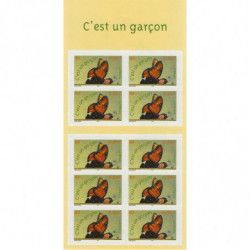 Carnet de 10 timbres naissances c'est un garçon - 2004.