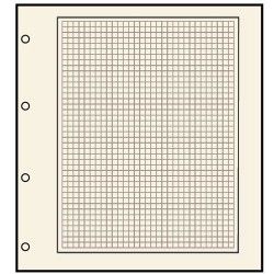 Feuilles en carton chamois quadrillée avec 4 perforations pour albums compact A4 Safe.
