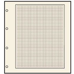 Feuilles neutres Safe chamois quadrillée avec 4 perforations.