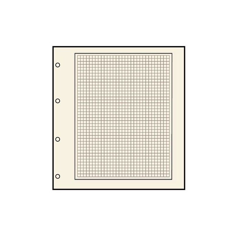 Feuilles en carton chamois quadrillée avec 4 perforations pour albums compact A4 Safe.