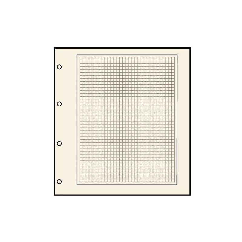 Feuilles neutres Safe chamois quadrillée avec 4 perforations.