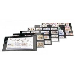 Cartes de rangement en PVC 210 x 143 mm à 1 bande pour timbres-poste.