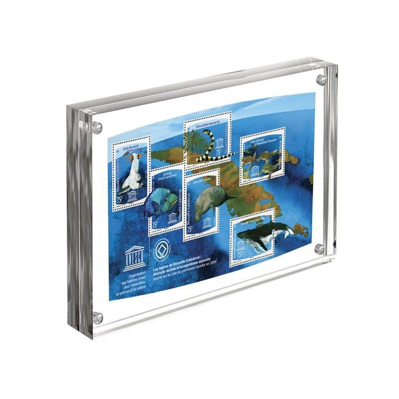Cadre Imago 152 x 203 mm pour collections.