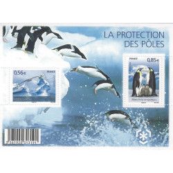 Feuillet de 2 timbres Protection des Pôles F4350 neuf**.