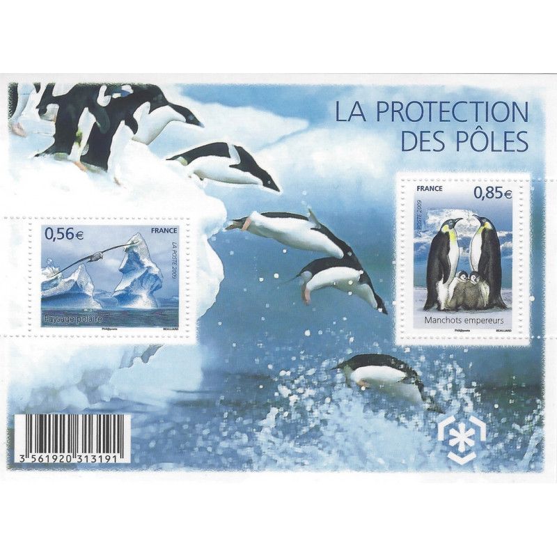 Feuillet de 2 timbres Protection des Pôles N°F4350 neuf**.