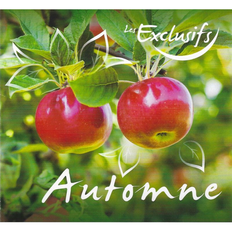 Collector 4 timbres L'automne - pommes, figues rouges.